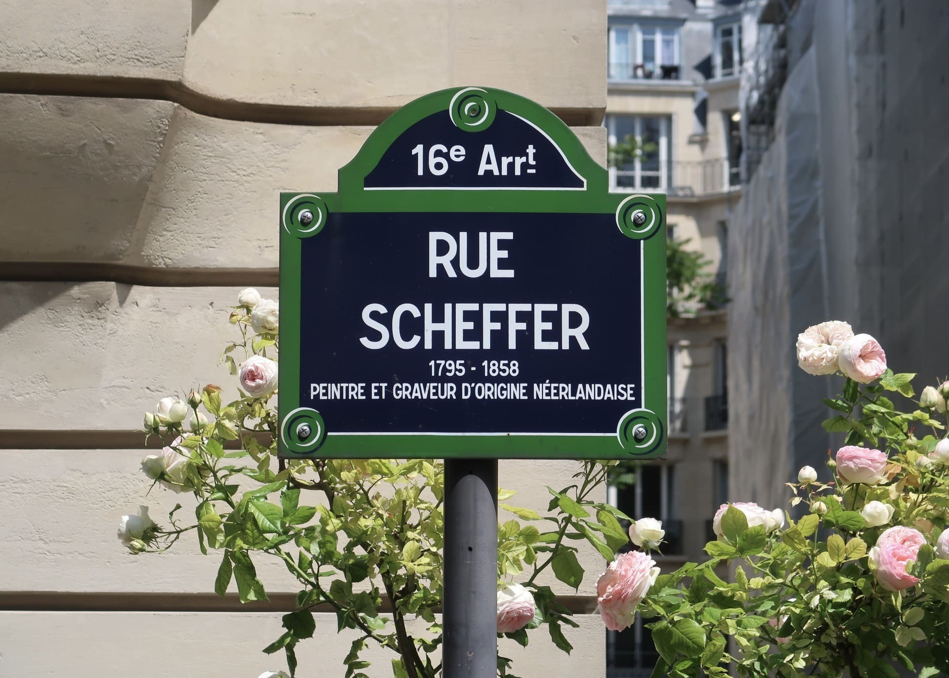 banniere-schaffer-4