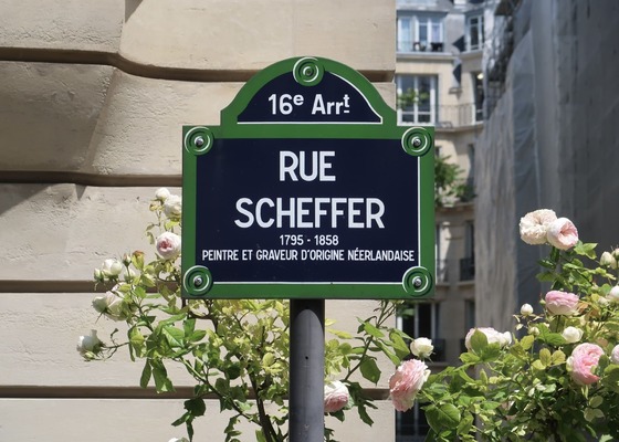 banniere-schaffer-4